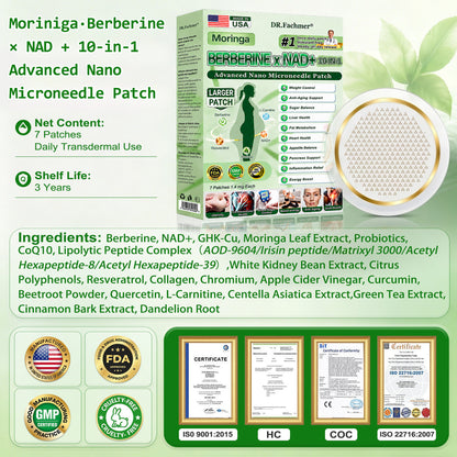 🍇🍇DR.Fachmer® Upgraded Large-Coverage 10-in-1 Nano Microneedle Patch🌿