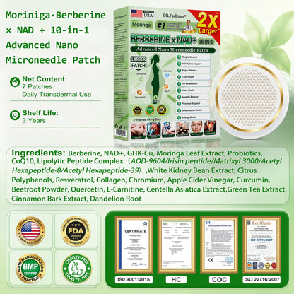 ✨DR.Fachmer® Upgraded Large-Coverage 10-in-1 Nano Microneedle Patch✨