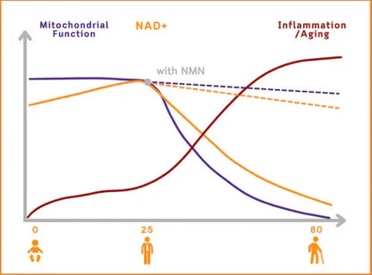 🇺🇸𝗼𝗳𝗳𝗶𝗰𝗶𝗮𝗹 𝗦𝘁𝗼𝗿𝗲 |  𝑮𝑭𝑶𝑼𝑲®NAD+ Bee Venom Repair Capsules — Boost Estrogen, Supports Hormone & pH Balance, Vaginal Comfort, Libido, Menopause Relief & Skin Health; Helps Reduce Odor, Hot Flashes & Itching