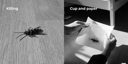 Furzero®:Catch and Release Spiders and Bugs Outside