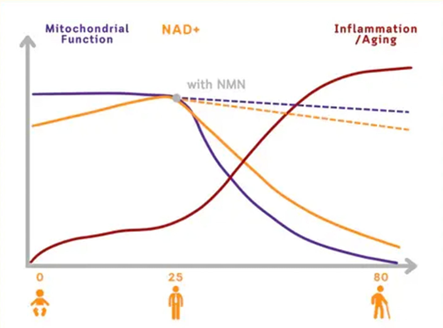 🇺🇸𝗼𝗳𝗳𝗶𝗰𝗶𝗮𝗹 𝗦𝘁𝗼𝗿𝗲 |  𝑮𝑭𝑶𝑼𝑲® NAD+NMN Rhodiola Rosea 5-IN-1 Intimate balance Vaginal Capsules